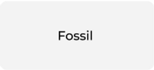 Fossil